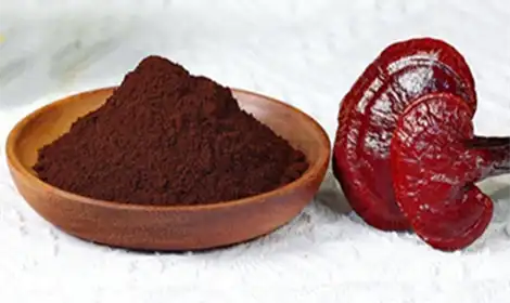Uses of Ganoderma Spore Powder in Health Products